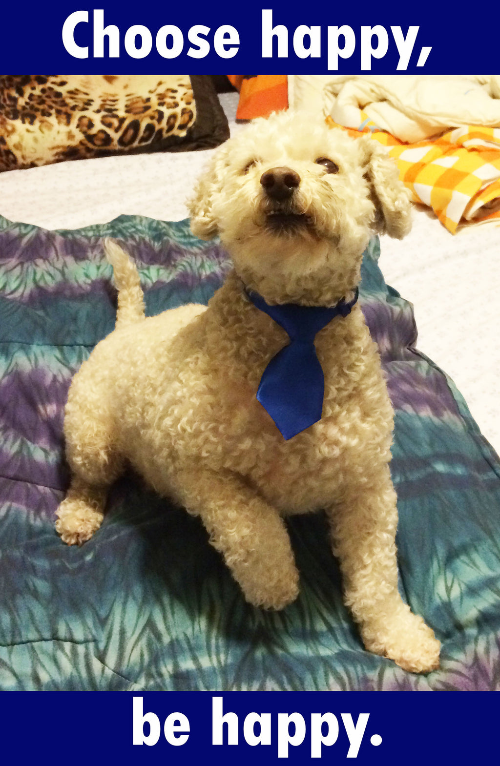 Digital Audio Version - How to Fall in Love with Life.