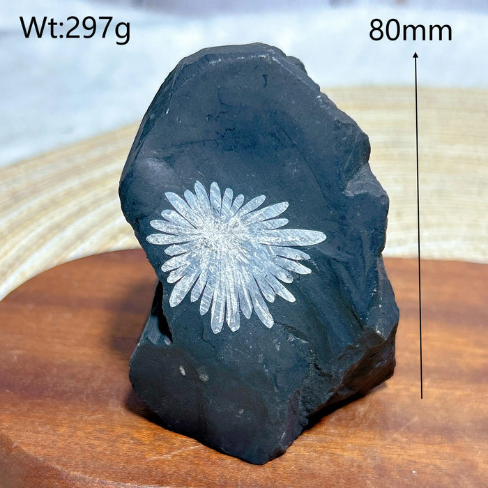 Healing Natural Crystal Chrysanthemum Stone Raw Stone Specimen Stand Gemstones Mineral Energy Reiki Home Decorations Gift