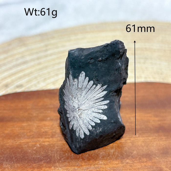 Healing Natural Crystal Chrysanthemum Stone Raw Stone Specimen Stand Gemstones Mineral Energy Reiki Home Decorations Gift