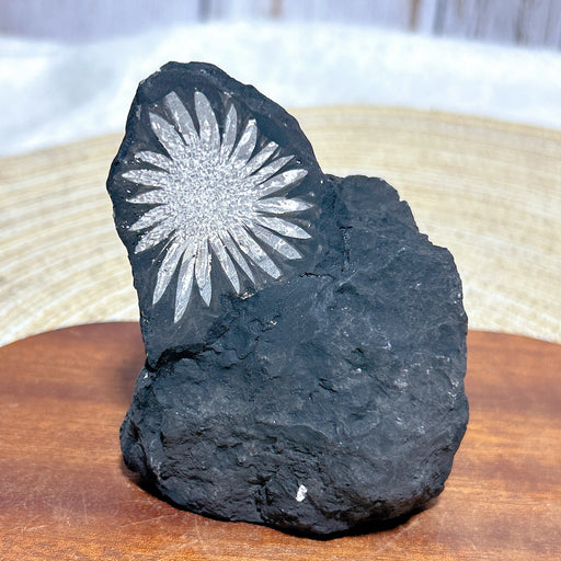 Healing Natural Crystal Chrysanthemum Stone Raw Stone Specimen Stand Gemstones Mineral Energy Reiki Home Decorations Gift