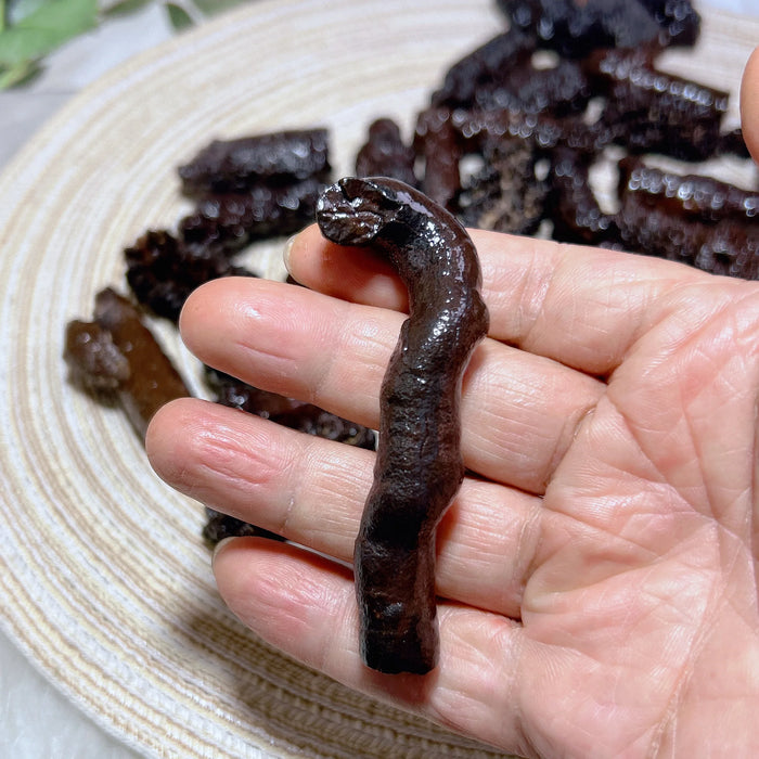 Healing Gemstone Natural Wholesale Crystal Black Diamond Rough Loose Raw Egypt  Prophecy Stones  Mediation Witchcraft  Gift