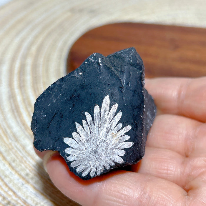 Healing Natural Crystal Chrysanthemum Stone Raw Stone Specimen Stand Gemstones Mineral Energy Reiki Home Decorations Gift
