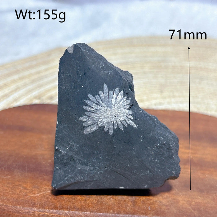 Healing Natural Crystal Chrysanthemum Stone Raw Stone Specimen Stand Gemstones Mineral Energy Reiki Home Decorations Gift