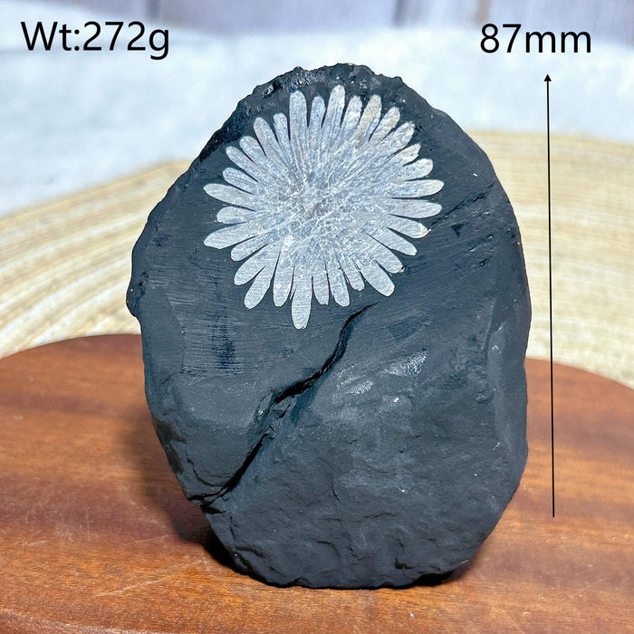 Healing Natural Crystal Chrysanthemum Stone Raw Stone Specimen Stand Gemstones Mineral Energy Reiki Home Decorations Gift