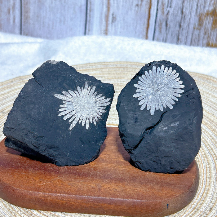 Healing Natural Crystal Chrysanthemum Stone Raw Stone Specimen Stand Gemstones Mineral Energy Reiki Home Decorations Gift
