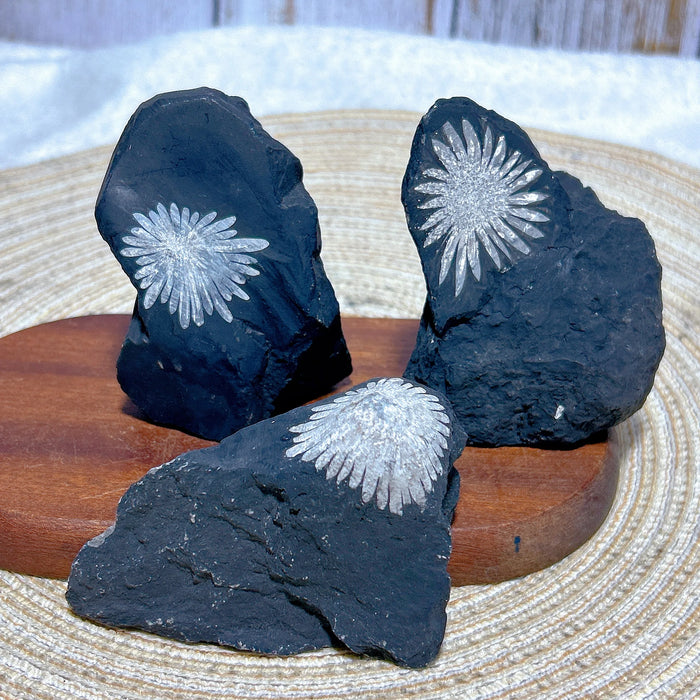 Healing Natural Crystal Chrysanthemum Stone Raw Stone Specimen Stand Gemstones Mineral Energy Reiki Home Decorations Gift