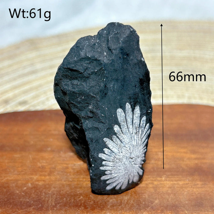 Healing Natural Crystal Chrysanthemum Stone Raw Stone Specimen Stand Gemstones Mineral Energy Reiki Home Decorations Gift