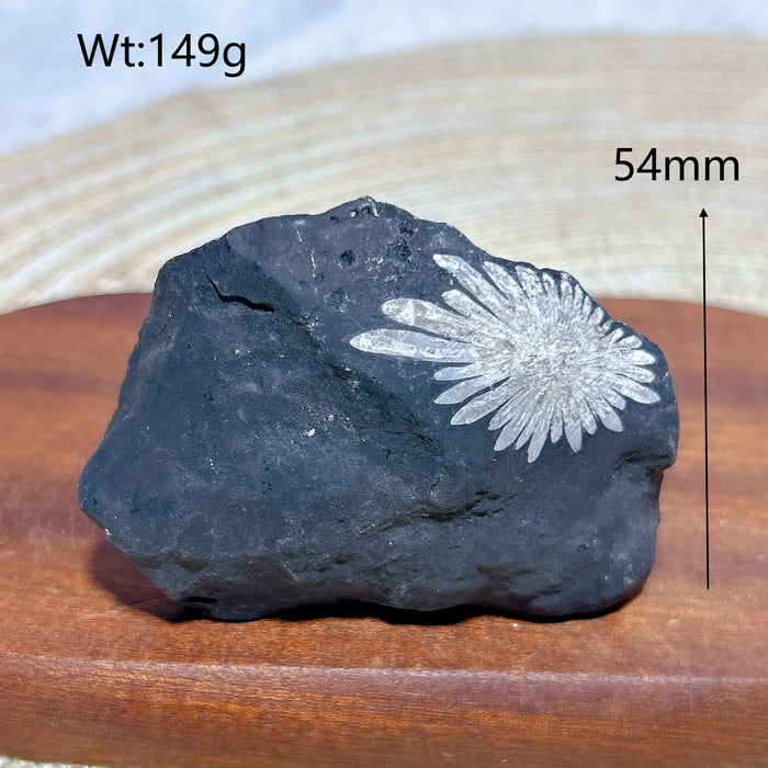 Healing Natural Crystal Chrysanthemum Stone Raw Stone Specimen Stand Gemstones Mineral Energy Reiki Home Decorations Gift