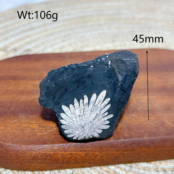 Healing Natural Crystal Chrysanthemum Stone Raw Stone Specimen Stand Gemstones Mineral Energy Reiki Home Decorations Gift