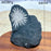 Healing Natural Crystal Chrysanthemum Stone Raw Stone Specimen Stand Gemstones Mineral Energy Reiki Home Decorations Gift